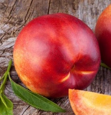 Nektarina Stark Red Gold